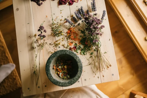 A person seated at a wooden table surrounded by various dried herbs, engaged in an activity related to herbal preparation