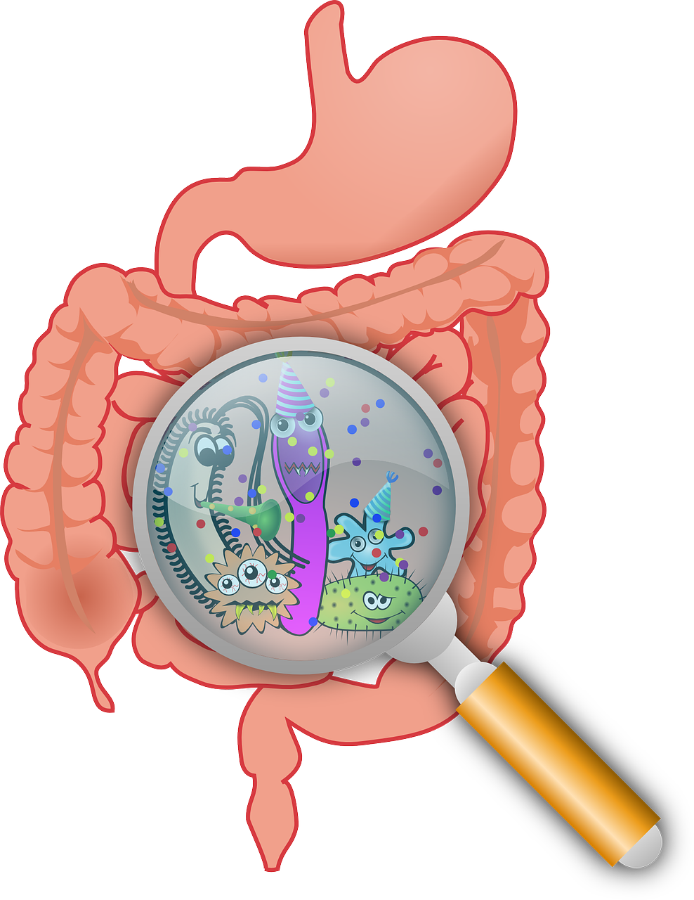 Everything You Need To Know About Inflammatory Bowel Disease Symptoms