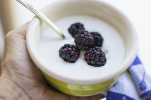 high protein foods - greek yogurt