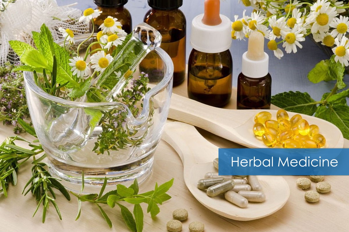 Healing with Nature: A Rewarding Career in Herbal Medicine