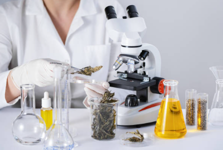 Laboratory