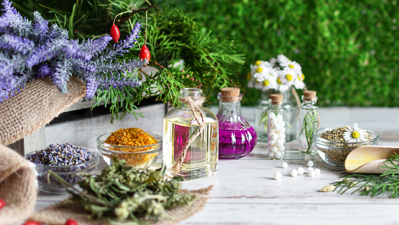 Discover the Power of Healing: Pursue a Career in Naturopathy