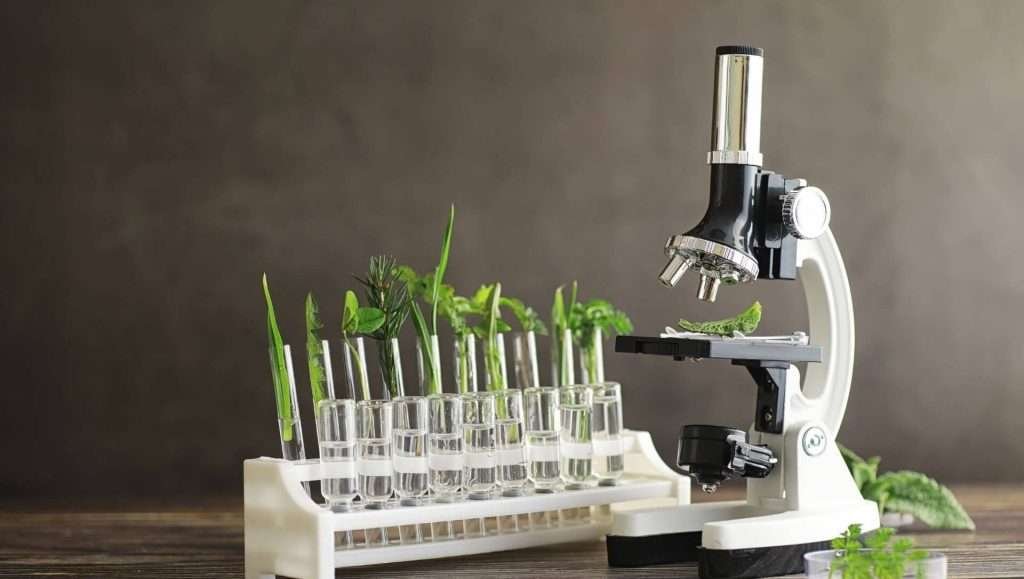 Naturopathy