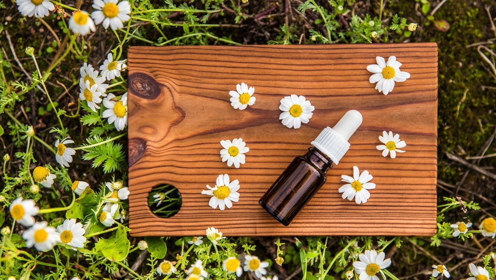 The Future of Wellness Lies in Naturopathy — Here’s How You Can Be Part of It
