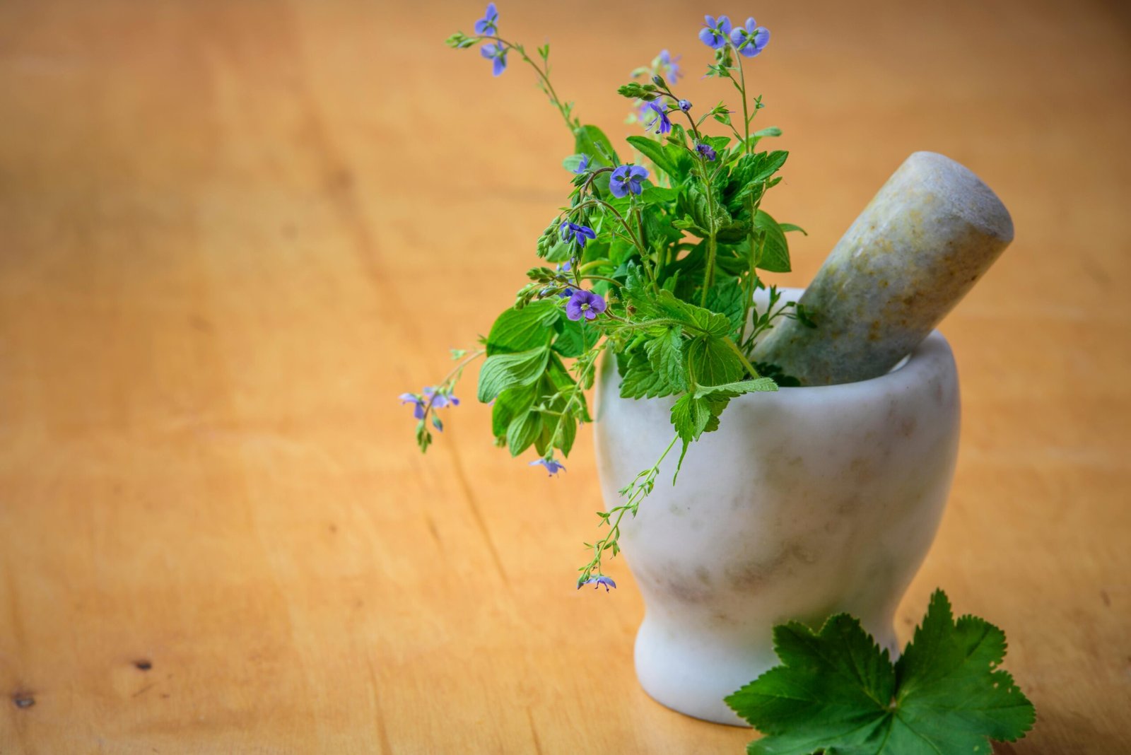 The Ultimate Guide to Natural Wellness: How Naturopathy Supports a Healthier, Balanced Life