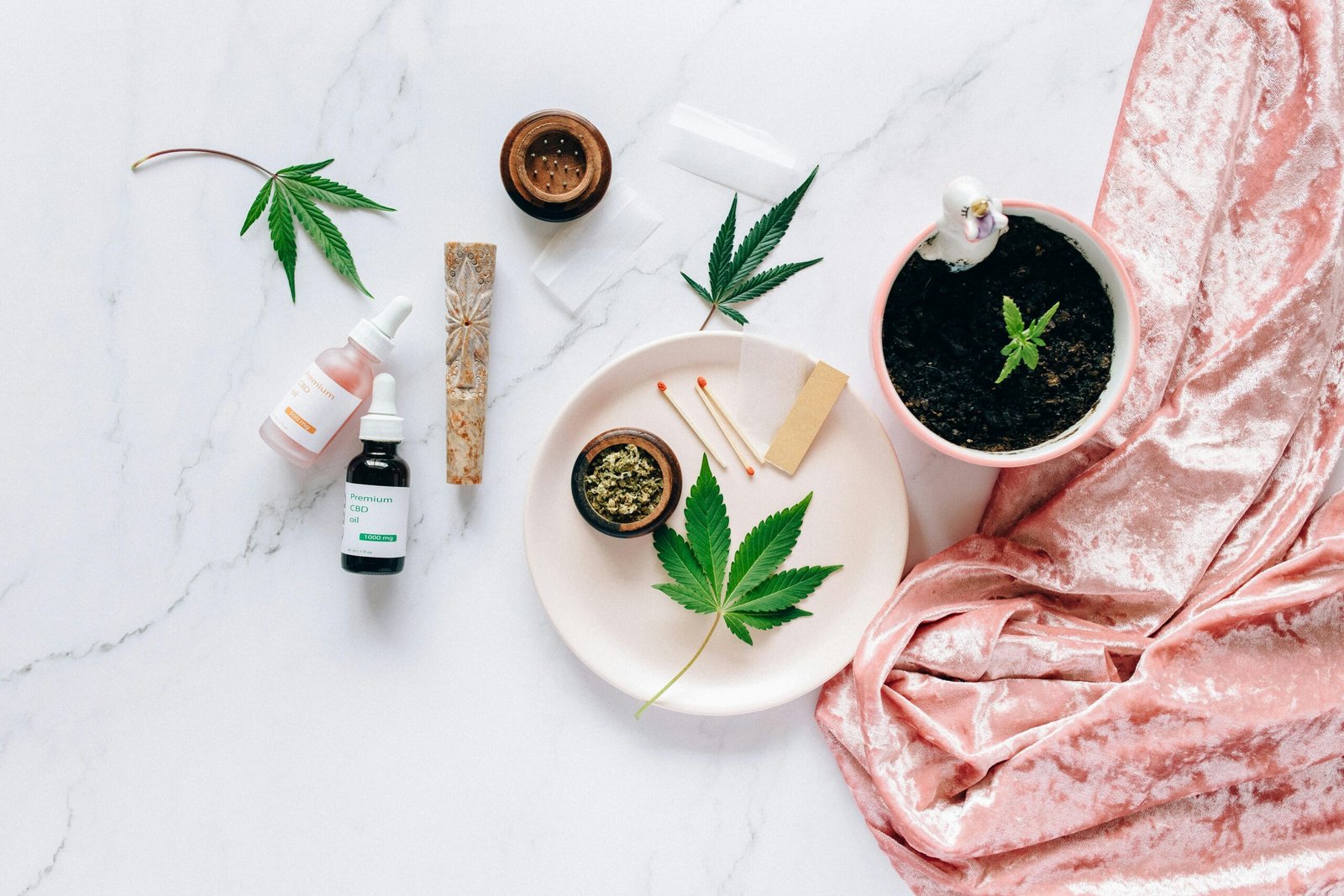 The Alchemy of Tincture Making: Extracting Nature’s Medicines