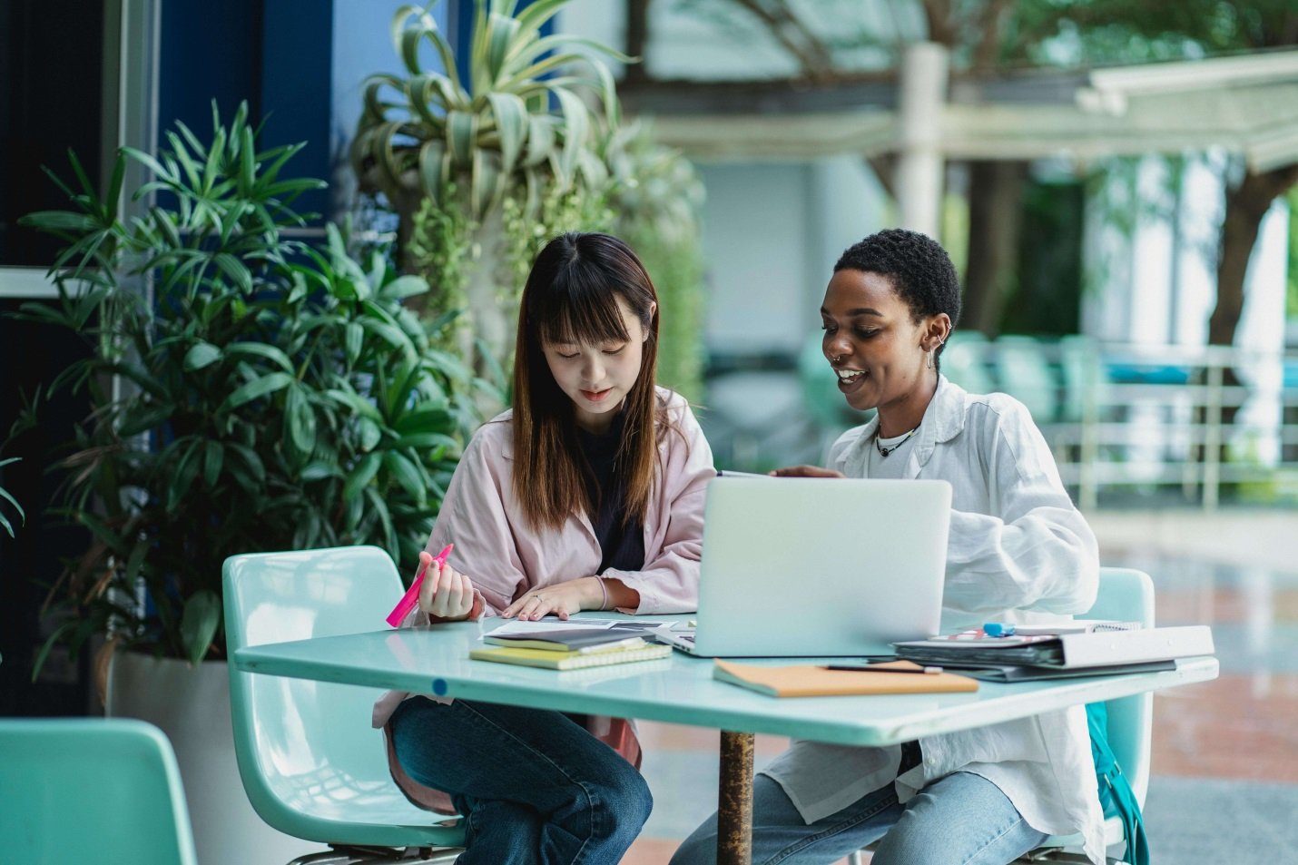 Herbal Medicine Degree in Australia: What Accredited Study Actually Means (And How to Apply)